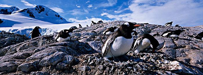 《恐怖的世界》将于10月19日推出正式版！盒装版现已开启预定