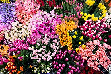 《星战：前线典藏版》Steam页面上线 3月14日发售