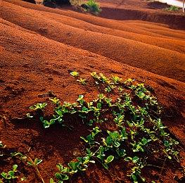 《Skystrider》Steam试玩发布 3D沙盒动作探索